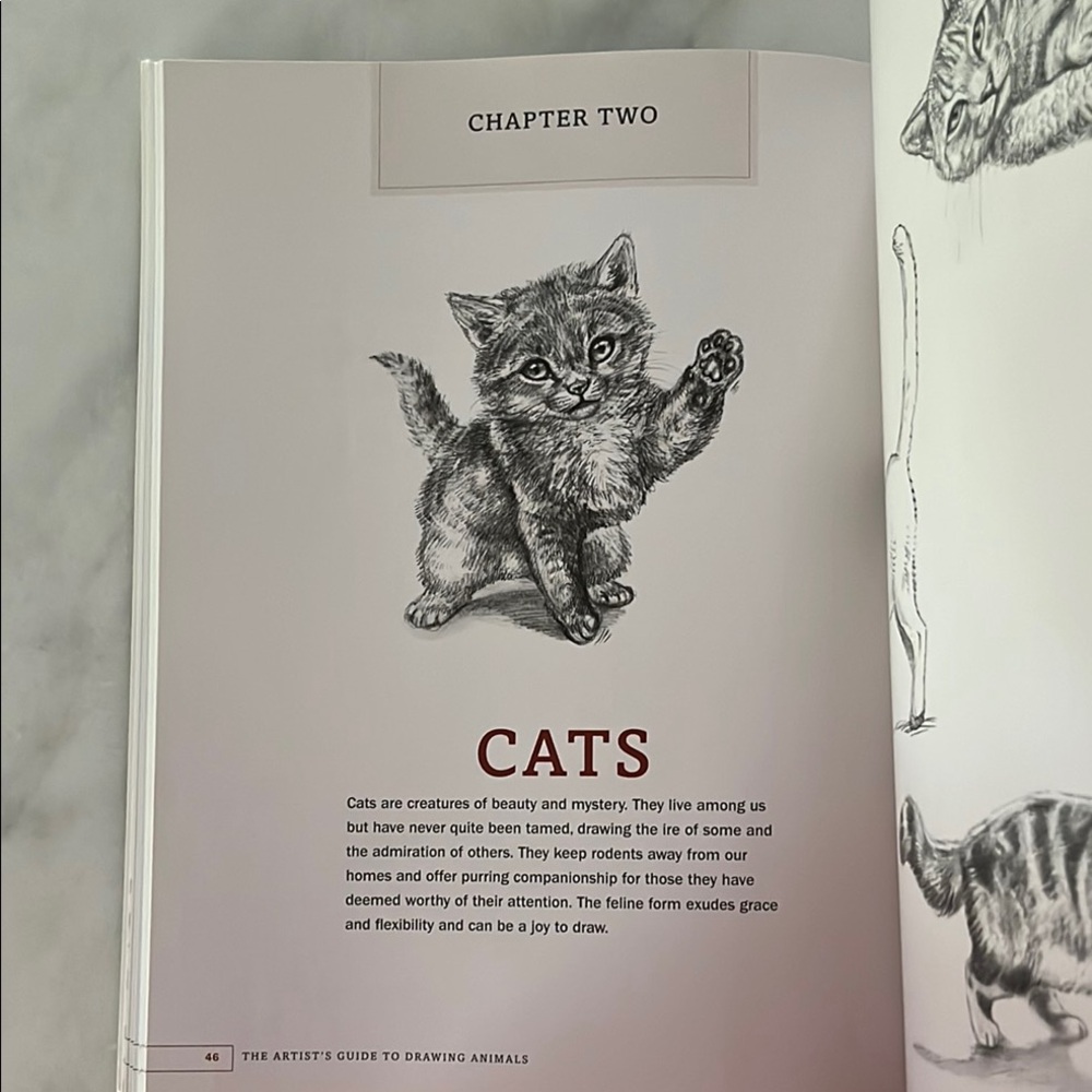 The Artist's Guide to Drawing Animals by J. C. Amberlyn - Picture 9 of 16